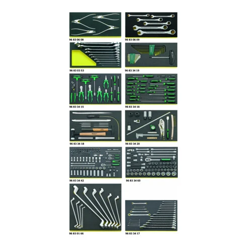 Stahlwille 3026 TCS Composition Mercedes-Benz Tourisme 306 Werkzeuge, 37,5 Kg