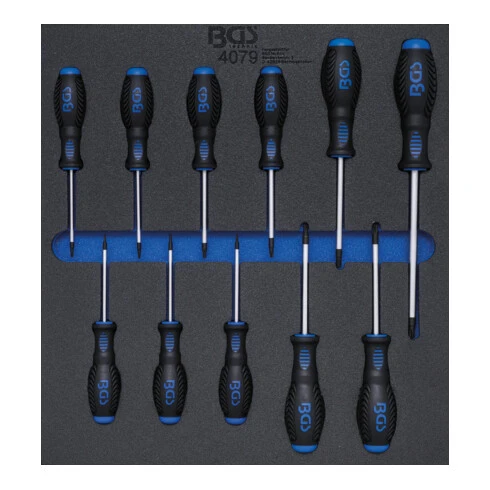 BGS Technic Insert De Servante D'atelier 2/3 : Tournevis Profil T (pour Torx) T6 - T40 11 Pièces BGS