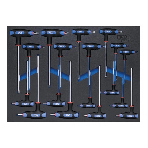 BGS Technic Insert De Servante D'atelier 3/3 : Tournevis Avec Poignées En T Et Lame Latérale Sorties Six Pans Intérieurs, Profil T (pour Torx) 18 Pièces BGS