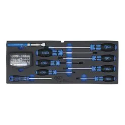 BGS Technic Insert Pour Art. 3312 : Tournevis, Jeu D’embouts Et Aimant De Levage 41 Pièces BGS