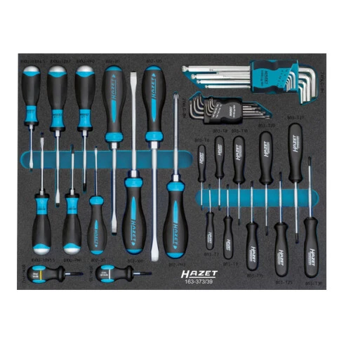 Jeu De Tournevis 163-373/39 HAZET