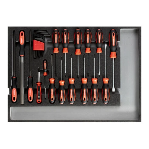Gedore Red Jeu D'outils Gedore Rouge Tournevis + Limes CT Module 26 Pcs.